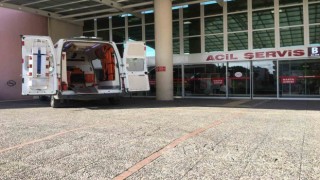 Aydında dehşete düşüren görüntüler