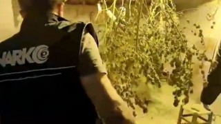 Aydında uyuşturucu satıcısı tutuklandı