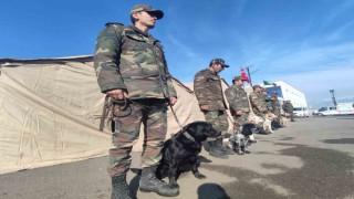 Azerbaycanın hassas burunlu arama kurtarma köpekleri deprem bölgesinde