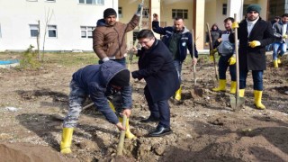 Balıkesir Üniversitesinde Fidan Dikim etkinliği gerçekleştirildi