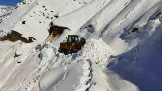 Batmanda kar yağışı nedeniyle kapanan köy yolları ulaşıma açılıyor