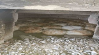 Bayırköylü kadınlar deprem bölgesine göndermek için binlerce ekmek yaptı