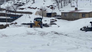 Beytüşşebapta kar kalınlığı 1 metreye ulaştı, yol açma çalışmaları devam ediyor