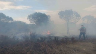 Bigada ormanlık alandaki örtü yangınında 1 hektar alan yanarak küle döndü