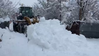 Bingöl Belediyesinin karla mücadelesi sürüyor