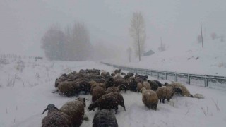 Bingölde besicilerin zorlu kış şartlarıyla mücadelesi