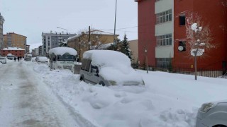 Bitliste kar esareti devam ediyor