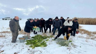 Çaldıranda yaban hayvanları için yemleme çalışması yapıldı