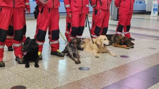 Çek arama-kurtarma ekibi Çekyadan Türkiyeye hareket etti