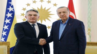Cumhurbaşkanı Erdoğan, Bosna Hersek Devlet Başkanlığı Konseyi Üyesi Komsici kabul etti
