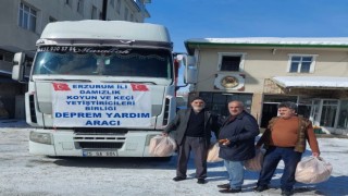 Damızlık koyun yetiştiricileri birliğinden deprem bölgesine yardım