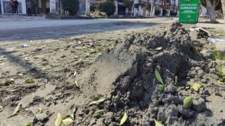 Deniz kumu sanıldı, kılcal damarlardan yüzeye çıkan sitrik kil olduğu anlaşıldı