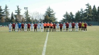 Denizlispor, hazırlık maçında galip