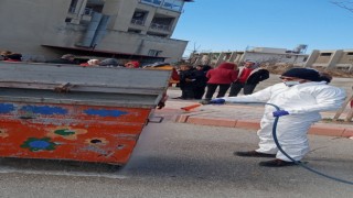 Deprem bölgesi haşere oluşumuna karşı ilaçlandı