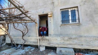 Deprem evi yıkmadı ama 30 santim kaldırıp, 2 metre ileriye taşıdı