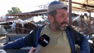 Depremde hayvanları telef oldu, o anları gözyaşları içinde anlattı