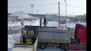 Depremden etkilenen hayvanlar için bölgeye yem gönderildi