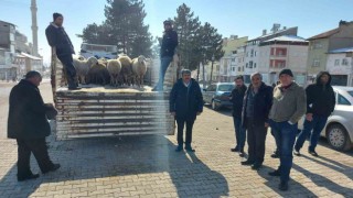 Depremzedeler için 120 hayvan kestirdiler
