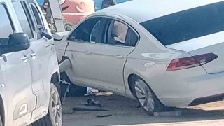 Didimde akılalmaz saldırı