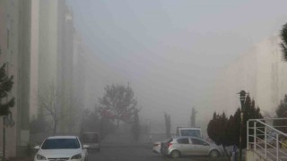 Diyarbakır güne yoğun sisle uyandı