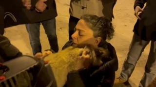 Diyarbakırda 17 gündür enkazda olan 2 kedi kurtarıldı