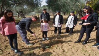 Edremitte depremzedeler, konakladıkları otelin bahçesine zeytin fidanı dikti