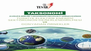 Enerji sektöründe ilk niteliği taşıyan kitabı Taksonomi yayımlandı