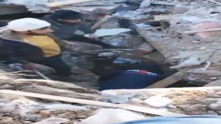 Enkaz altından çıkartılan 14 günlük buzağı koruma altına alındı