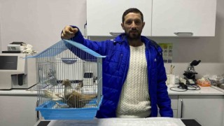 Enkazda ölen 4 kişilik ailenin güvercinleri madenciye hatıra kaldı