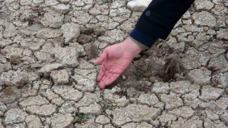 Erzincan kuraklık tehlikesi altında