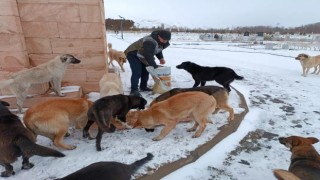 Erzincanda ‘HAYDİ polisleri sokak hayvanlarını mamayla besledi