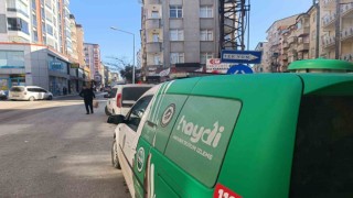 Evde unutulan kediyi HAYDİ unutmadı