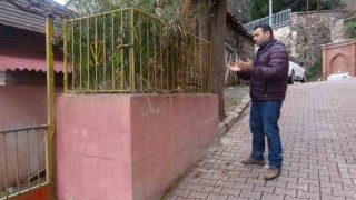 Evin önündeki gizemli türbe merak uyandırıyor