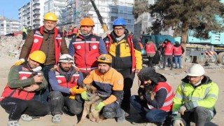 Ezan okunurken uluyan köpek ve yavruları, sesi fark eden görevlilerce enkazdan kurtarıldı