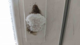 Gölede dondurucu soğuklar hüküm sürüyor, kapı kilitleri bile buz tuttu
