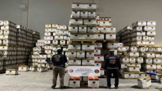 Gümrük Muhafaza ekipleri 15 milyon lira değerindeki kaçak ürüne el koydu