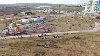 Güneşli havayı gören vatandaşlar parkalara akın etti