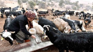 Hadi Gel Köyümüze Destek Verelim projesi ile üretici oldu