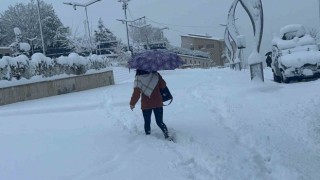 Hakkaride 365 yerleşim yerinin yolu ulaşıma kapandı