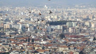 Hatayda depremin bıraktığı enkaz havadan görüntülendi
