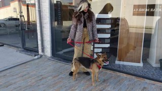 Hatayda yaralanan köpek, 6 ay süren tedavisinin ardından sağlığına kavuştu