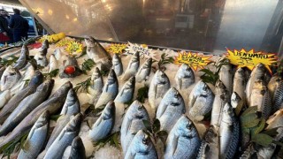 Havalar ısındı, balık fiyatları düştü