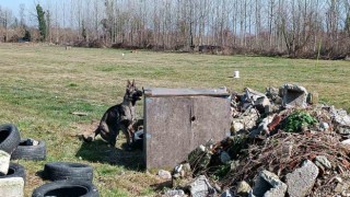 Hayat kurtaran köpekler böyle yetişiyor