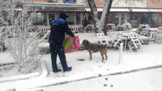 Hisarcık Belediyesi sokak hayvanlarını aç bırakmadı