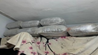 İzmirde zehir tacirlerine büyük darbe: 114 tutuklama