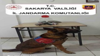 Jandarmadan uyuşturucu operasyonu: 1 gözaltı