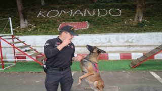 Jandarmanın hassas burnu Şila kanserden hayatını kaybetti