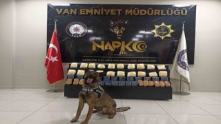 ‘Junonun katıldığı operasyonda 37 kilo 600 gram uyuşturucu ele geçirildi