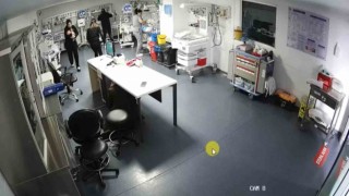 Kaçmak yerine yeni doğan bebekleri korudular