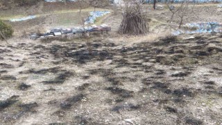 Kastamonuda çıkan yangında arı kovanları son anda kurtarıldı